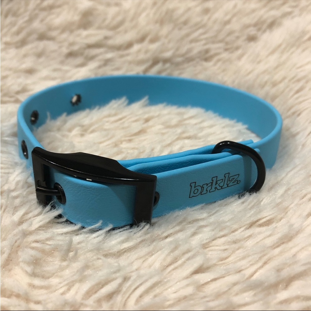 brklz ~ Small Dog Collar ~ Light Blue with Black Hardware
